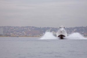 Sea fishing trips